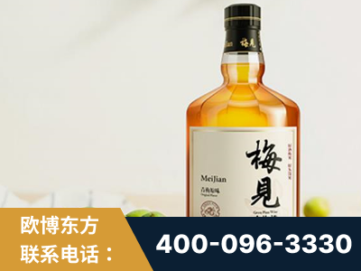 井冈山-梅见青梅酒